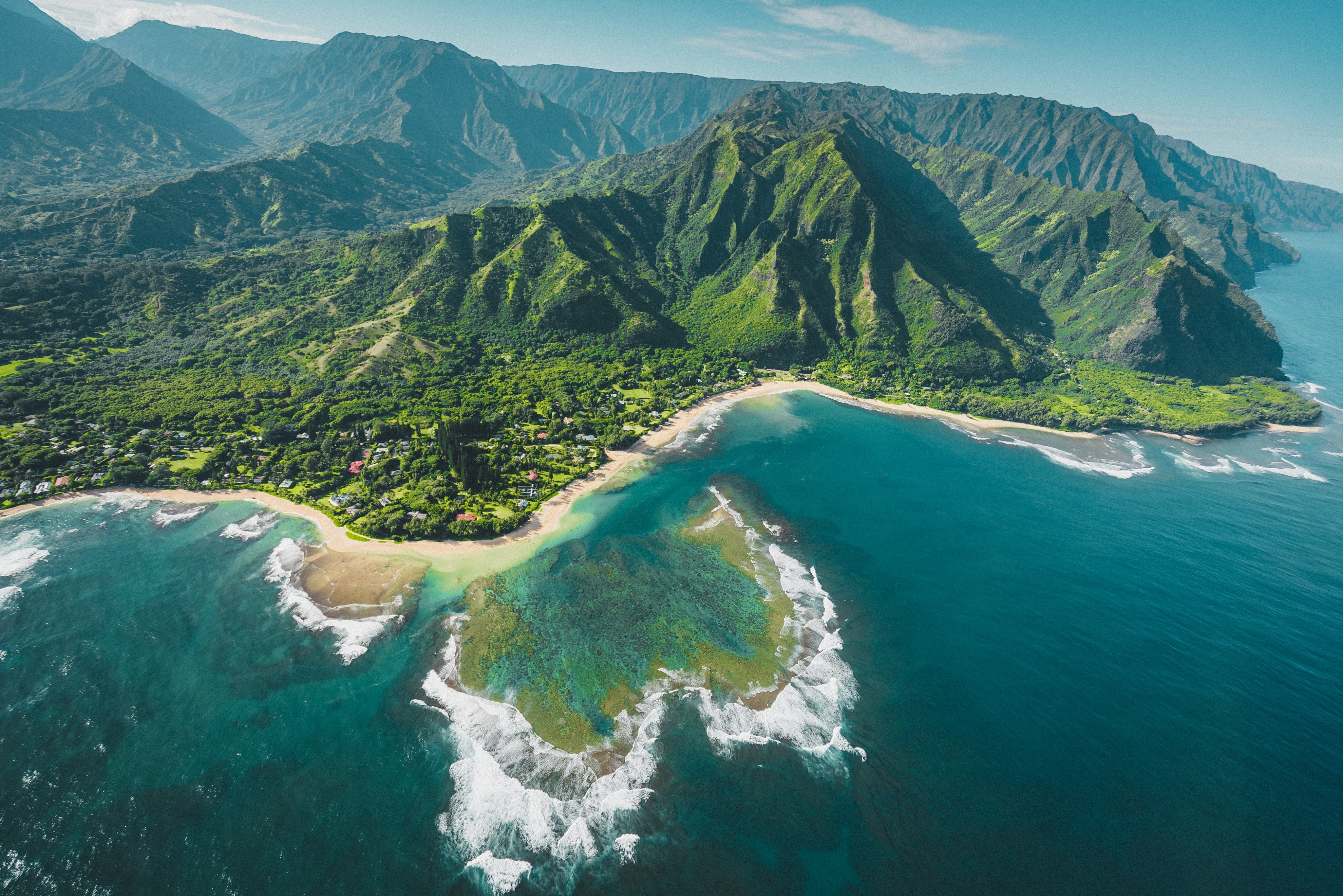 What is Kona Coffee and Why is it So Expensive?