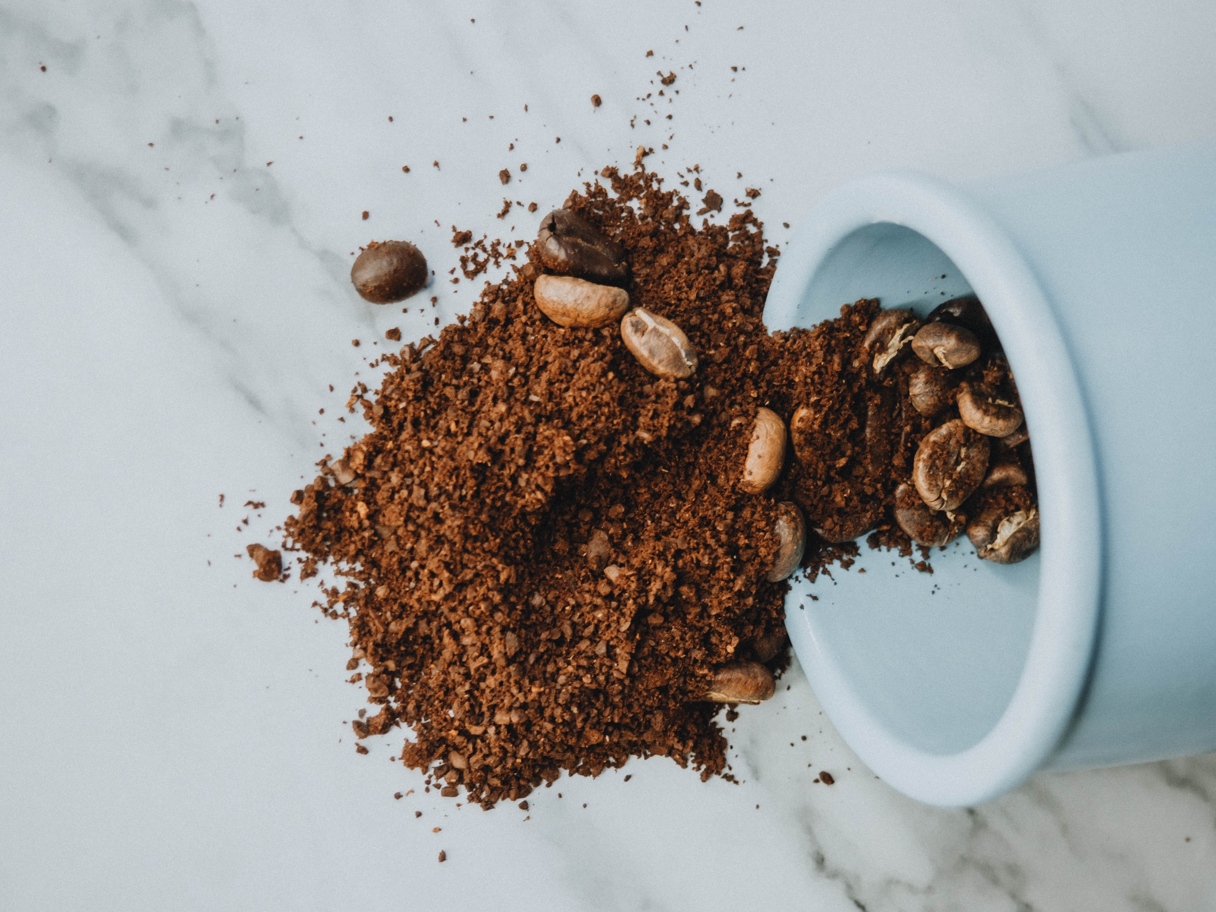 How to Store Coffee Beans and Keep Them Fresh for Longer