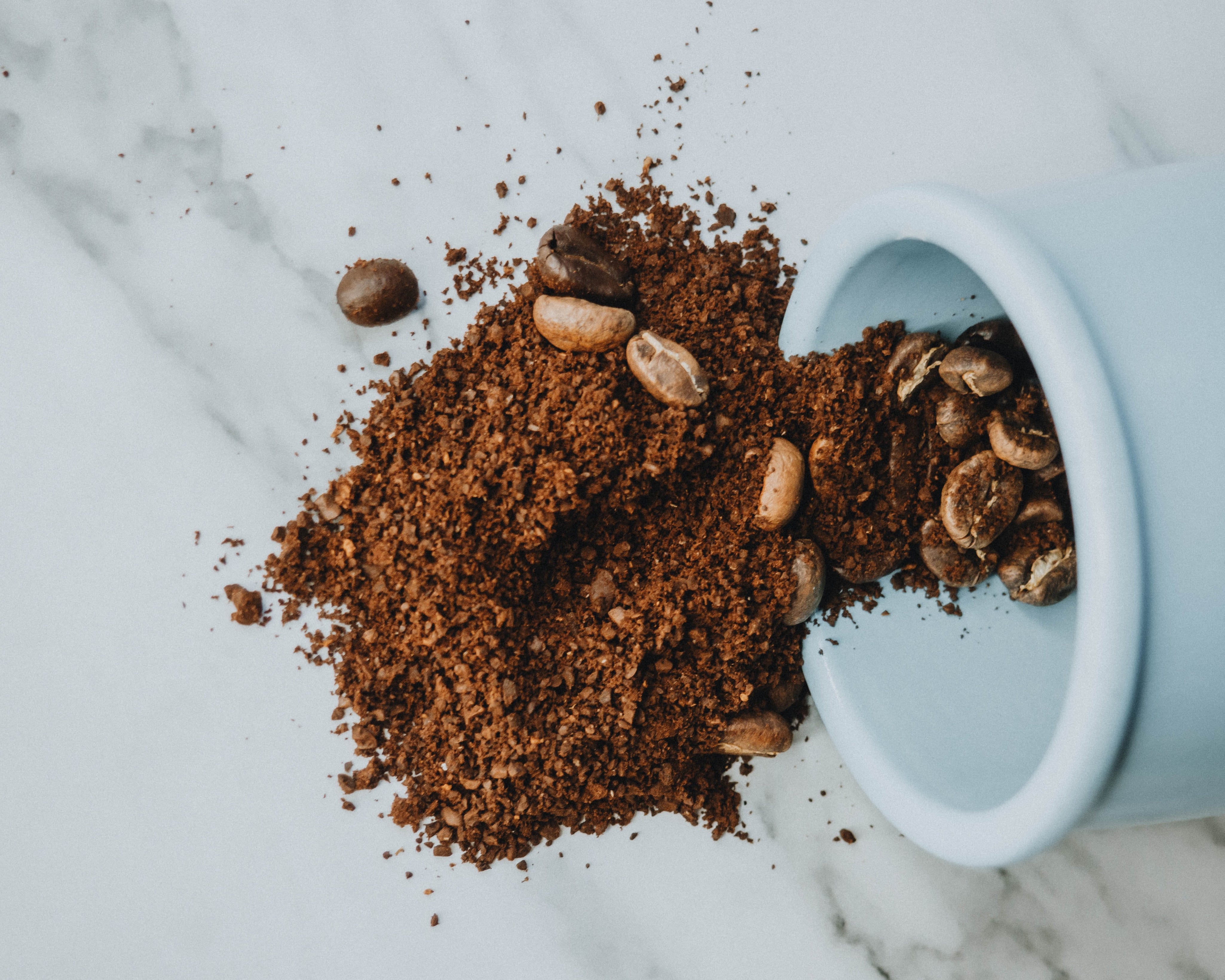 How to Store Coffee Beans and Keep Them Fresh for Longer