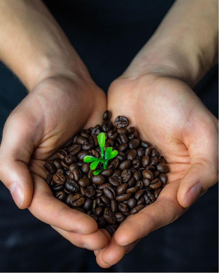 How to Know if Coffee is Certified Organic