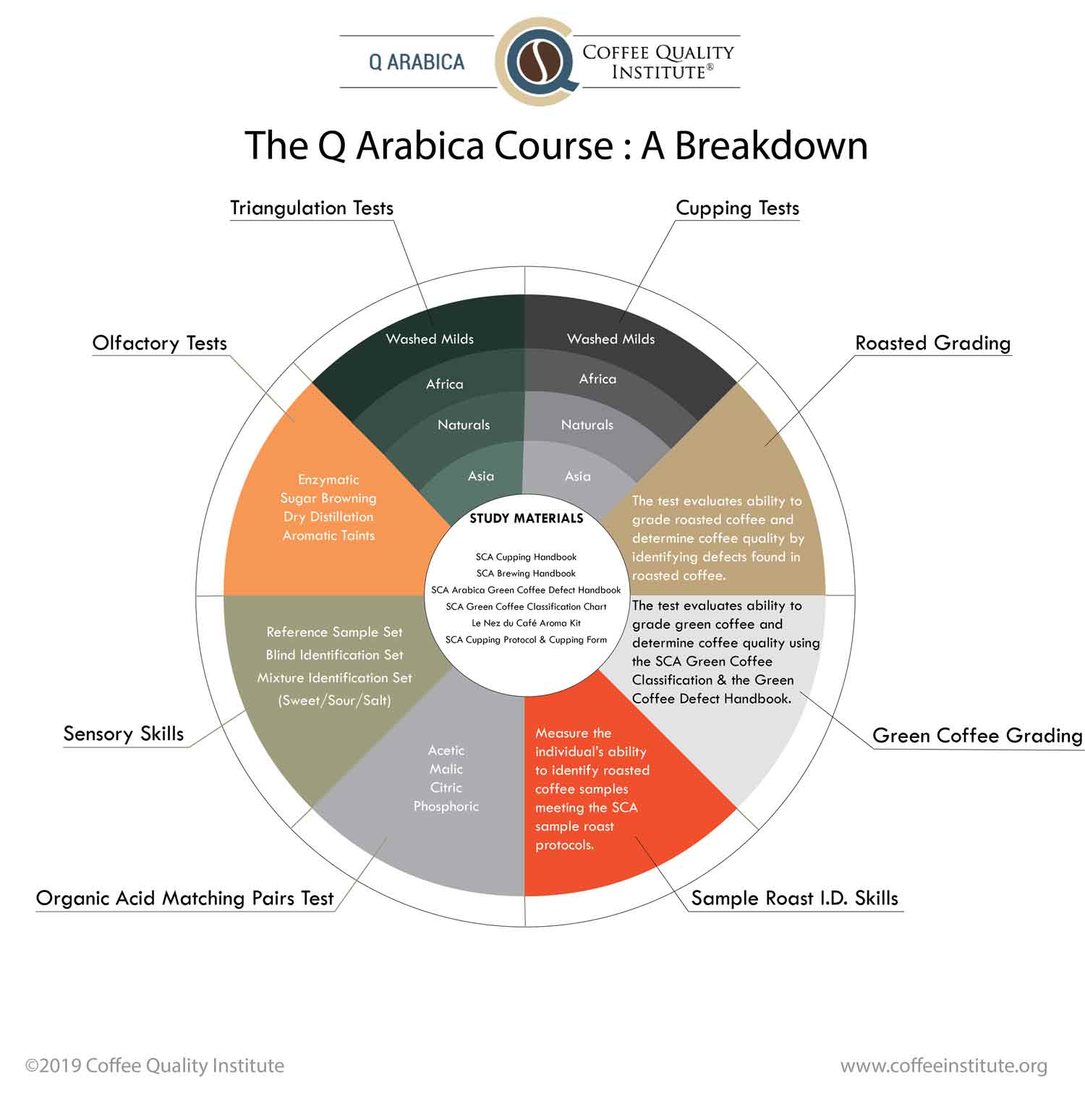 A circular infographic explaining the Q Arabica Coffee Quality Institute’s grading system with 8 sections representing different aspects of the grading system.