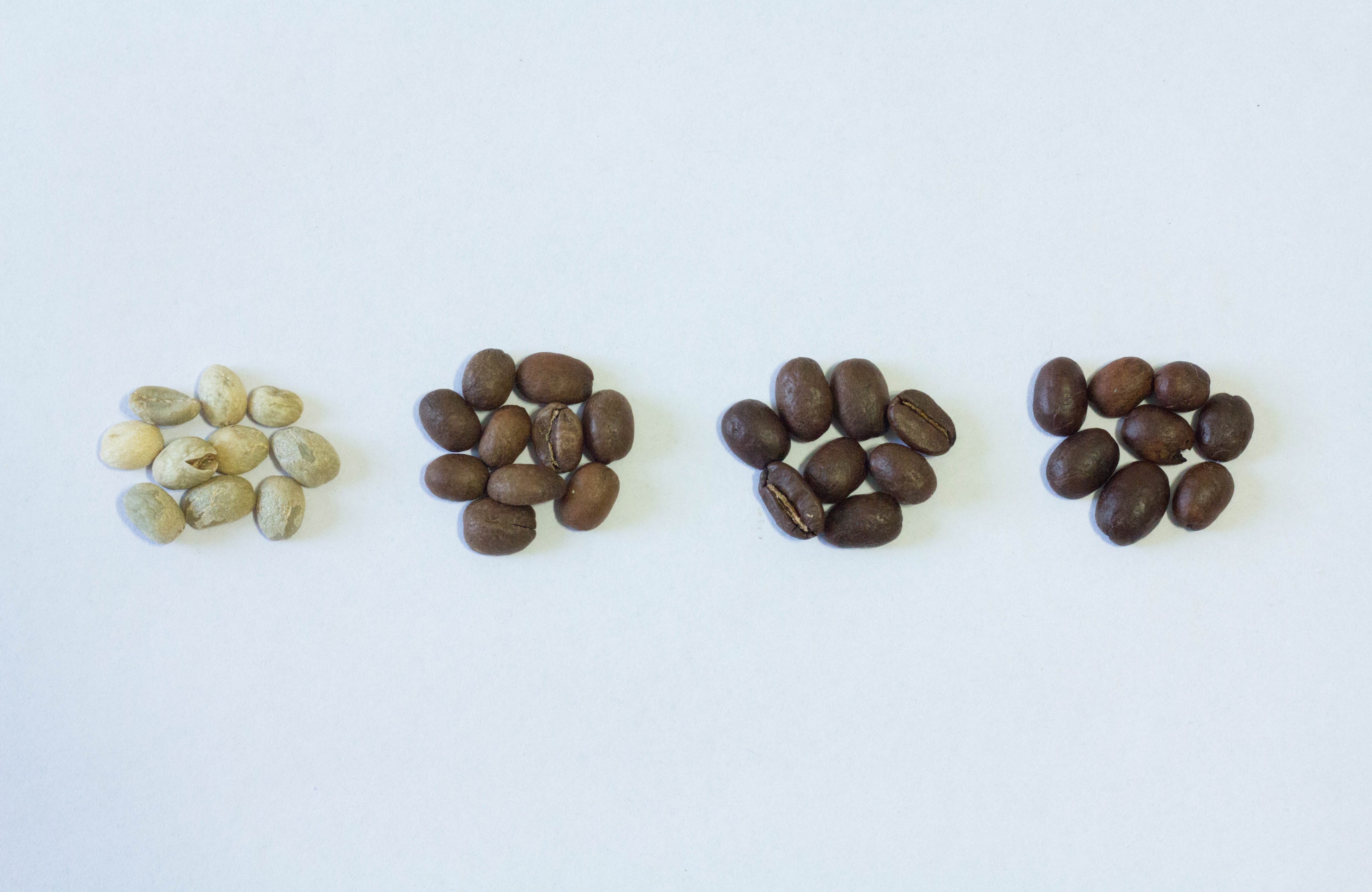 Light Roast vs. Dark Roast Coffee Explained