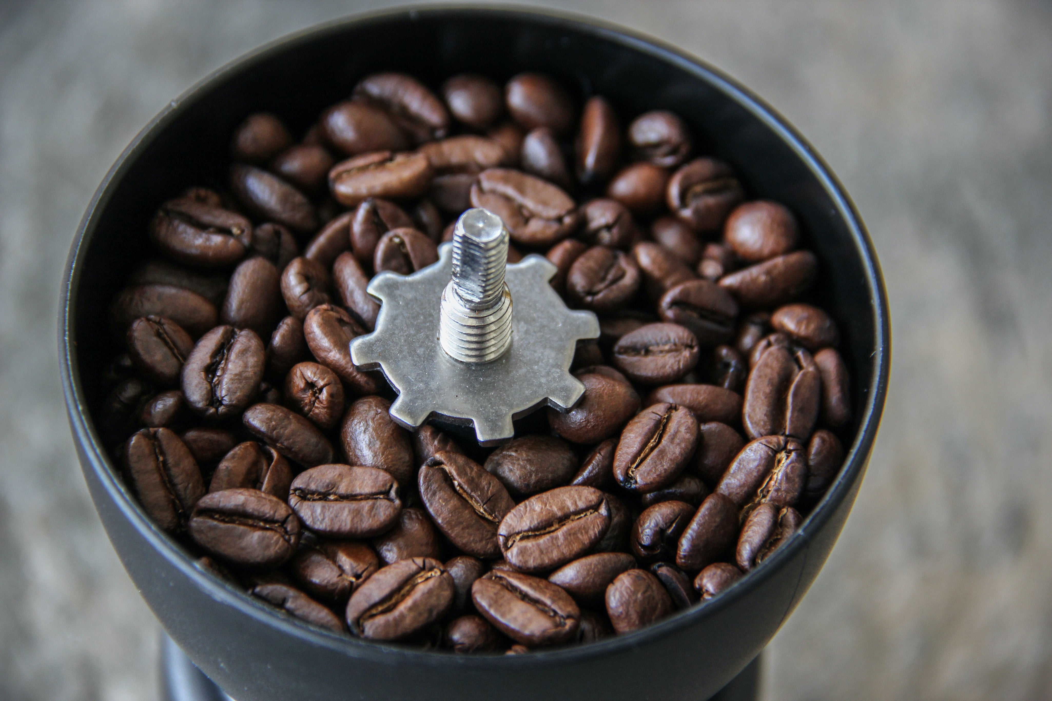 What to Look for When Purchasing Your First Coffee Grinder