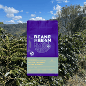 Purple and green coffee bag labeled “Bean & Bean Bolivia Caranavi Gesha Washed” displayed over a lush Bolivian coffee farm with green hills, coffee trees full of cherries, and a bright blue sky with scattered clouds.