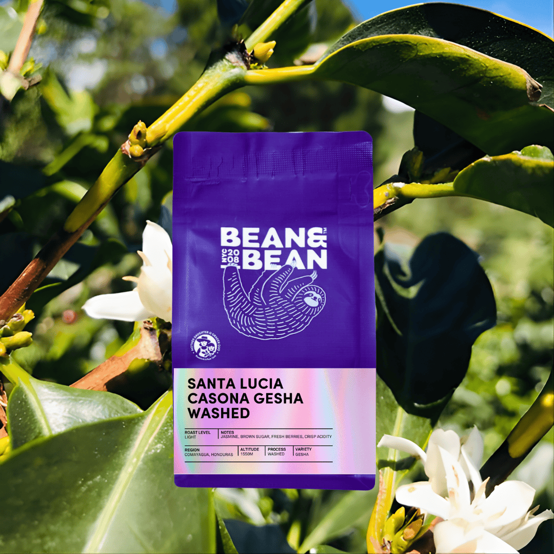 Purple "Bean & Bean Coffee Roasters" bag with a colored label that says Honduras Santa Lucia Casona Gesha Washed