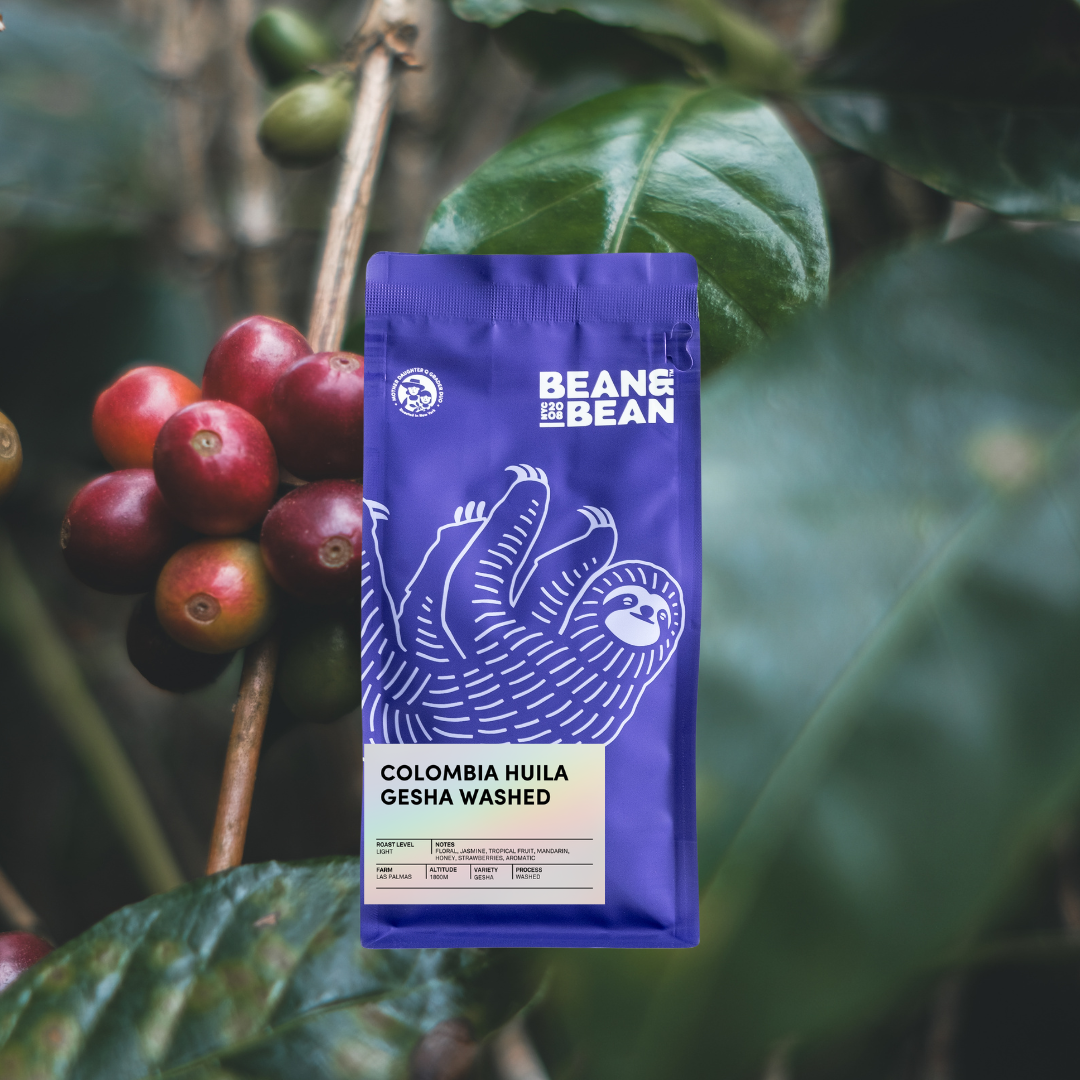 A purple Bean & Bean coffee bag labeled “Colombia Huila Gesha Washed” stands upright in front of ripe red coffee cherries and green leaves on a coffee plant.