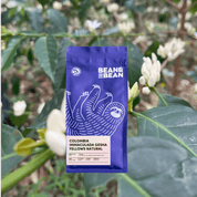 A Bean & Bean bag of Colombia Immaculada Gesha Fellows Natural against a background of coffee blossoms