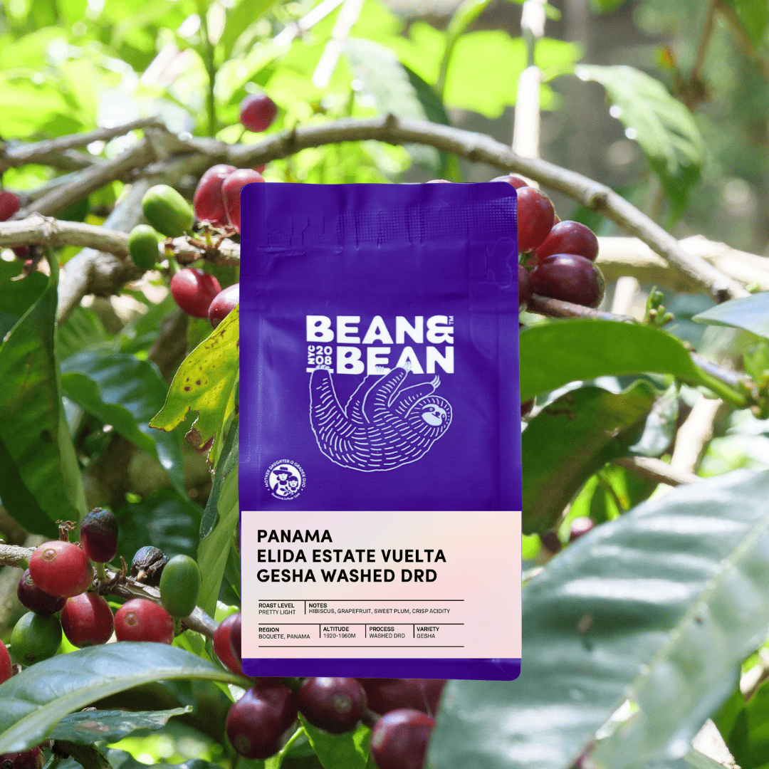 A purple Bean & Bean coffee bag labeled Panama Elida Estate Vuelta Gesha Washed DRD is placed among green leaves and red coffee cherries on a tree branch.