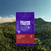 A purple Bean & Bean coffee bag labeled “Hacienda La Esmeralda Gesha” is shown in front of a lush green mountain landscape under a clear blue sky.