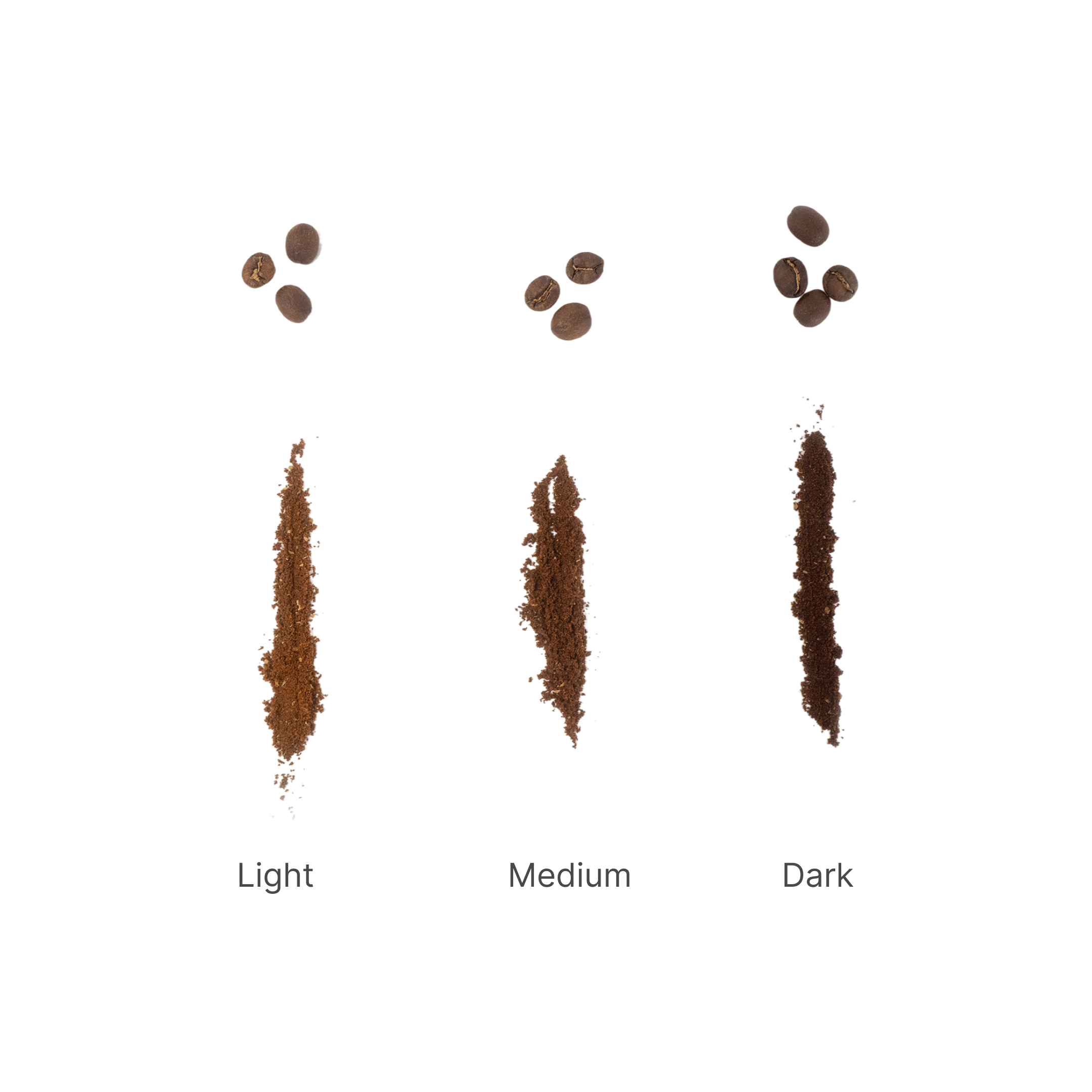 3 coffee grounds showing the different roasts 