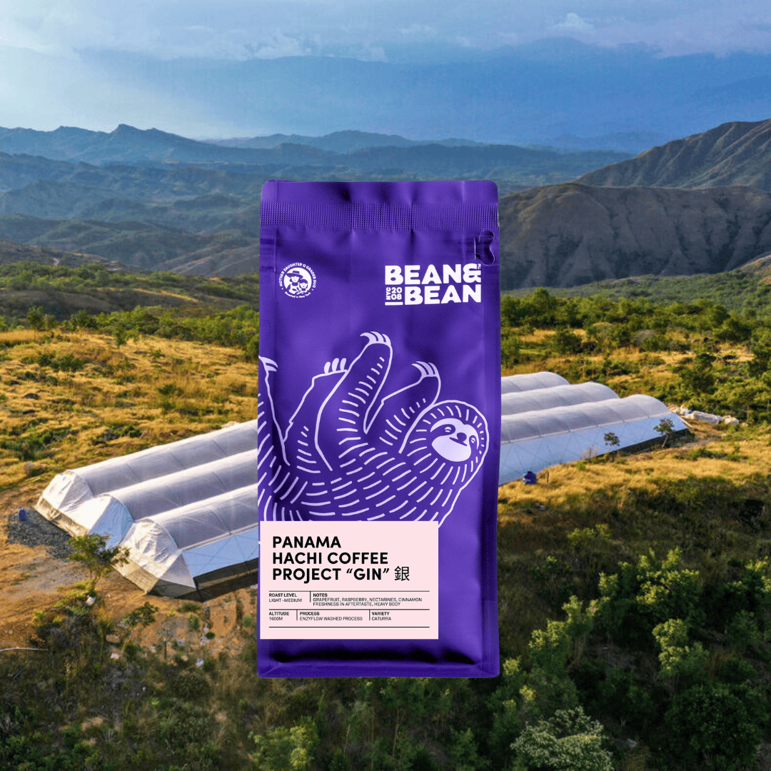 Purple "Bean & Bean Coffee Roasters" bag with a colored label that says Panama Hachi Coffee Project “GIN” 銀