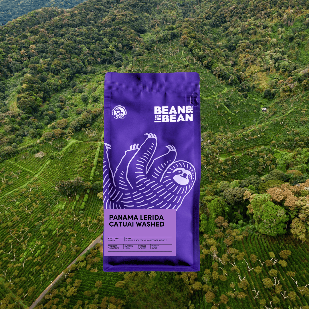 Purple Bean & Bean coffee bag labeled “Panama Lerida Catuai Washed,” featuring a sloth illustration, set against a lush green coffee farm landscape.