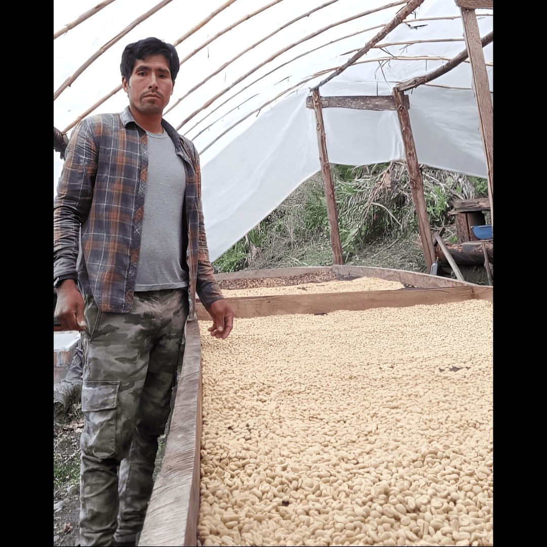 Farmer next to drying bed of beans. 