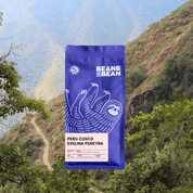 A purple coffee bag from Bean & Bean labeled 'Peru Cusco Evelina Pereyra' set against a Peruvian mountain backdrop. The label notes light roast, tasting notes of plum, lime, apple, and cane sugar, and coffee varieties Bourbon, Typica, and Caturra.