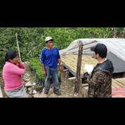 Three people talk near a raised coffee drying bed covered with parchment coffee under a plastic canopy. They're surrounded by lush coffee plants.