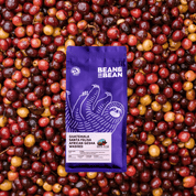 Purple Bean & Bean coffee bag labeled “Guatemala Santa Felisa African Gesha Washed” centered on a background of ripe red coffee cherries.