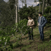 Two men standing in front of coffee tree in mountain.