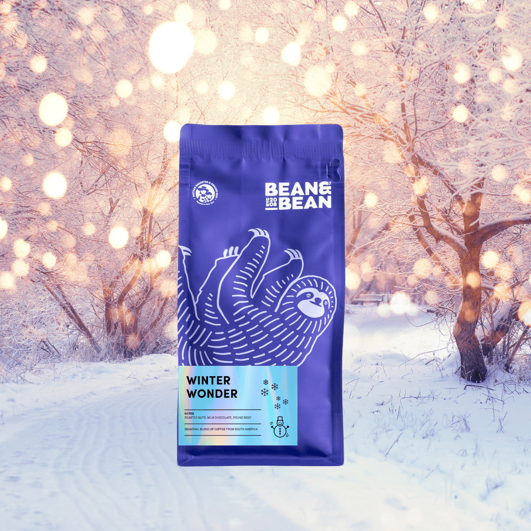 A purple Bean & Bean coffee bag labeled “Winter Wonder” with a white sloth illustration is centered in a snowy winter scene. Snow-covered trees and soft golden lights create a dreamy, festive background.