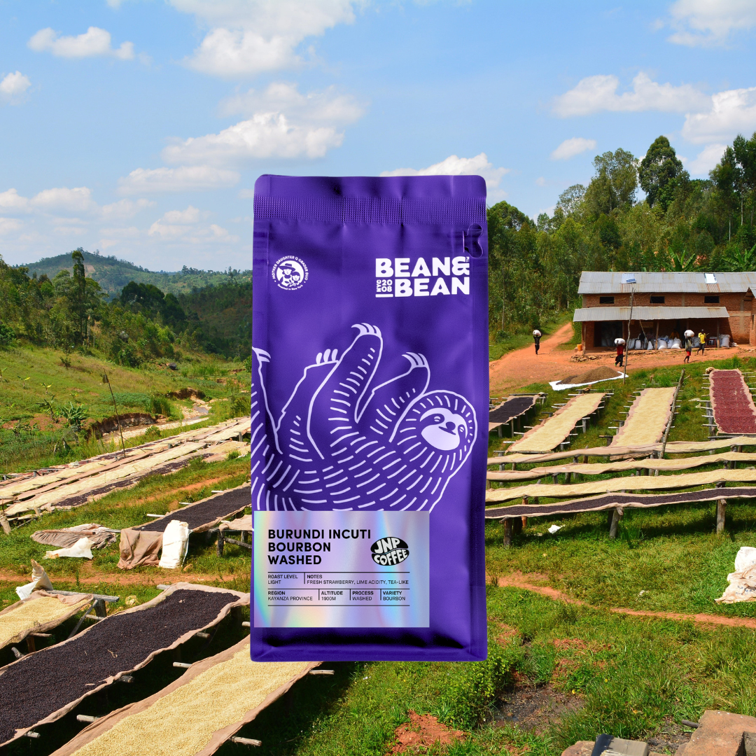 Purple Bean & Bean bag of Burundi Incuti Bourbon Washed in front of coffee drying beds on a green hillside.