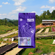 Purple Bean & Bean bag of Burundi Incuti Bourbon Washed in front of coffee drying beds on a green hillside.