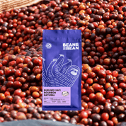 A Bean & Bean bag of Burundi Hafi Bourbon Natural coffee against a background of red coffee cherries.