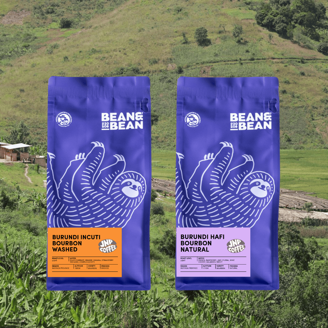 Two purple Bean & Bean coffee bags, labeled Burundi Incuti Bourbon Washed and Burundi Hafi Bourbon Natural, displayed against a lush green hillside with a small house and drying beds in the background.