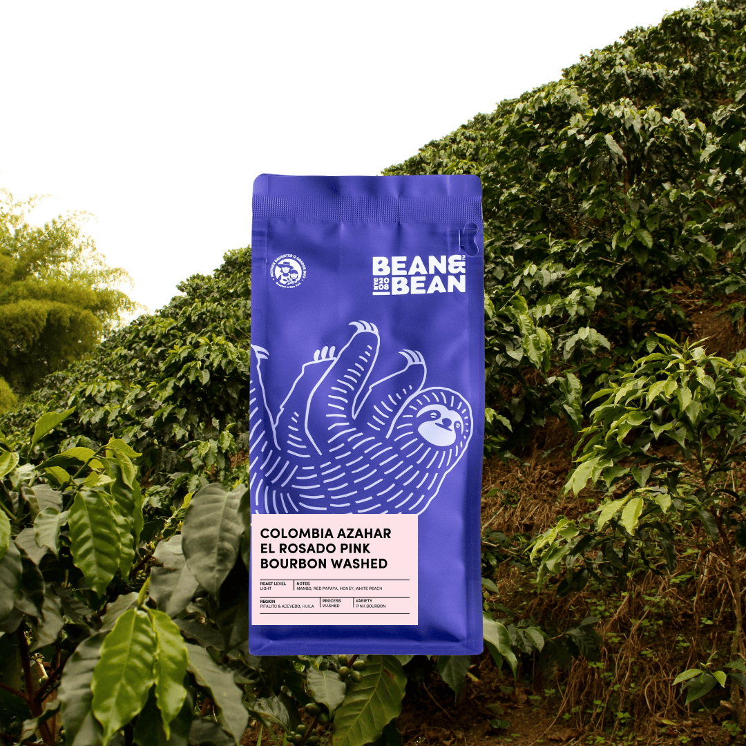 A purple bag of Bean & Bean Coffee labeled “Colombia Azahar El Rosado Pink Bourbon Washed” among coffee plants on a hillside. 
