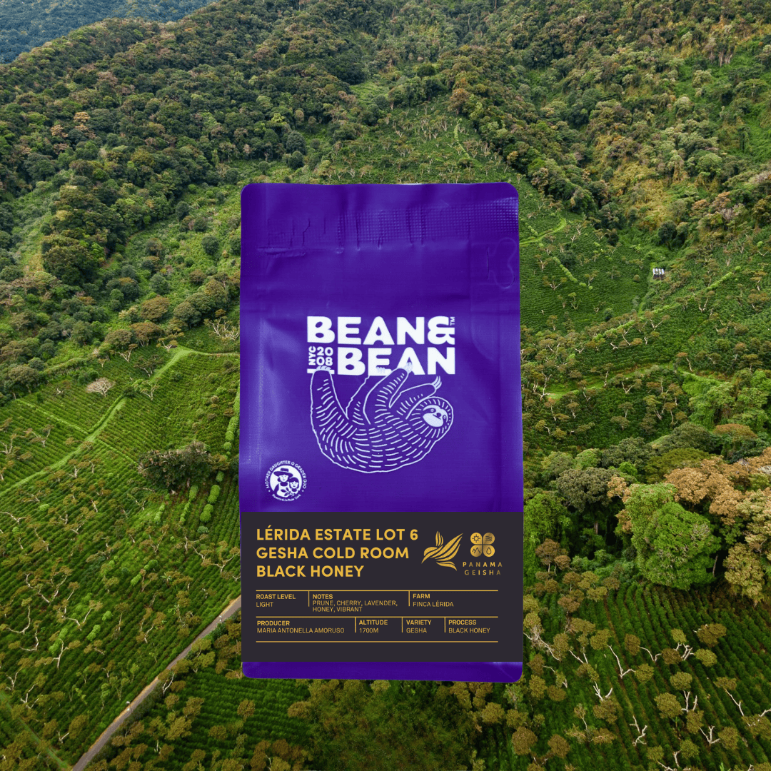 A purple bag of Bean & Bean coffee labeled 'Lérida Estate Lot 6 Gesha Cold Room Black Honey' is displayed in front of a lush green coffee farm on a forested hillside.