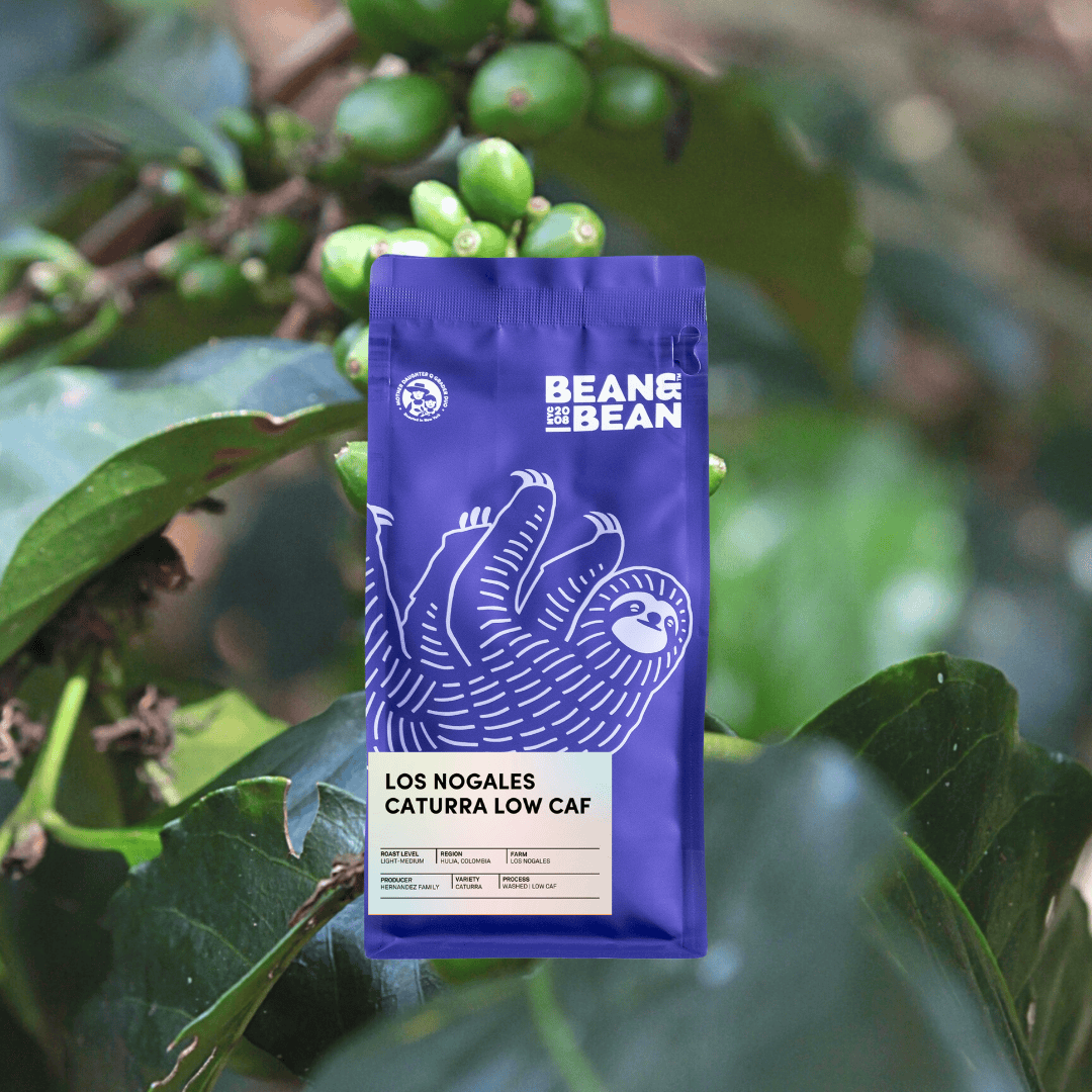 A Bean & Bean bag of Los Nogales Caturra Low Caf against a background of green coffee cherries