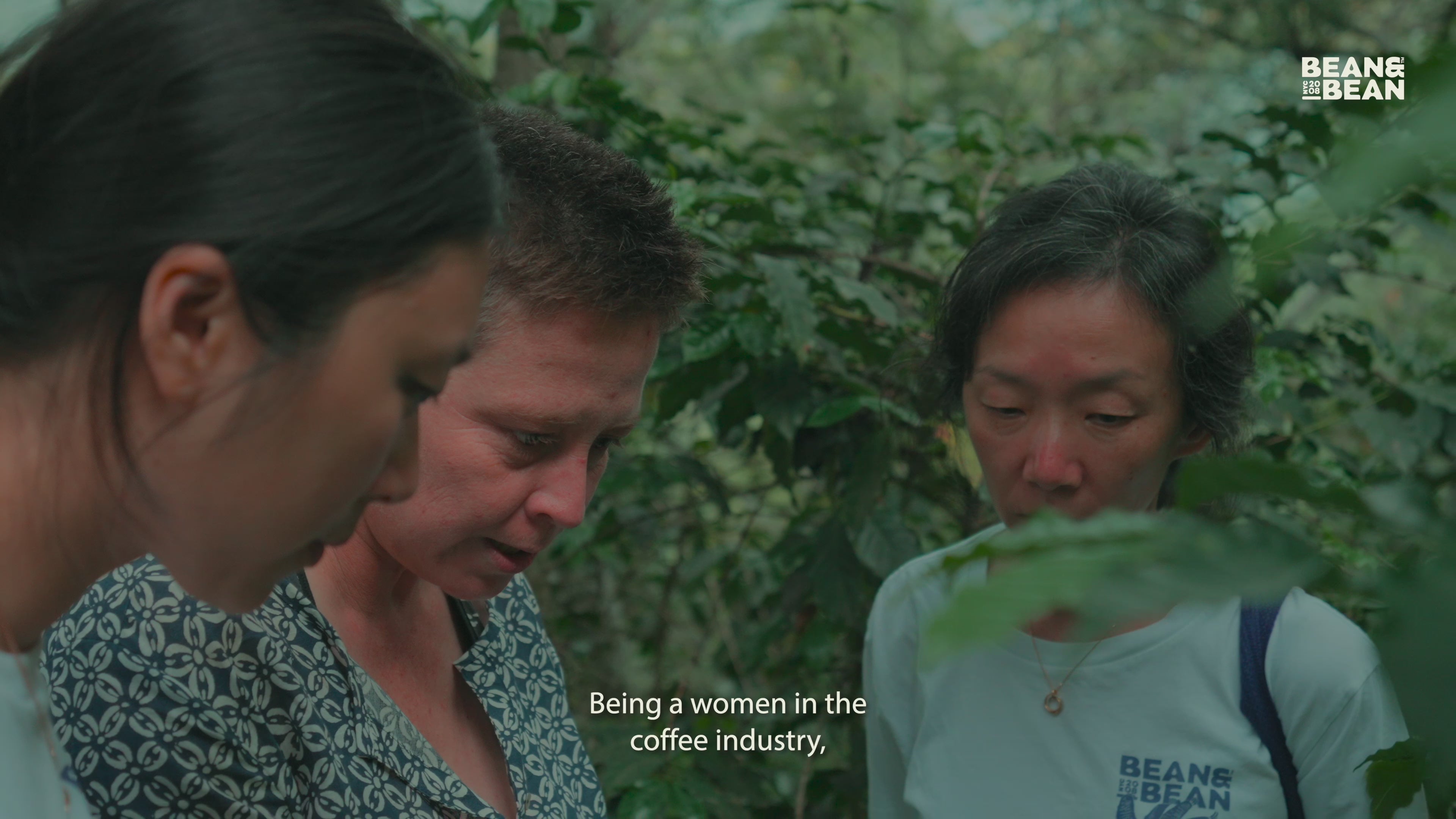Santa Felisa Gesha Washed Coffee