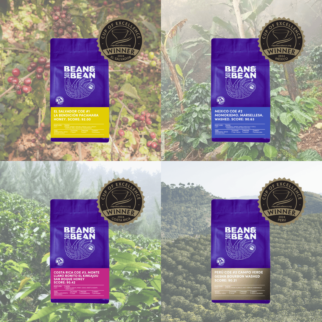 A four-panel image shows four Bean & Bean coffee bags from Cup of Excellence–winning lots, each placed in front of a different coffee farm landscape. Each panel includes a gold Cup of Excellence “Winner” badge near the bag.