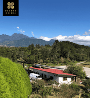 Janson Coffee Farm Lot 290 