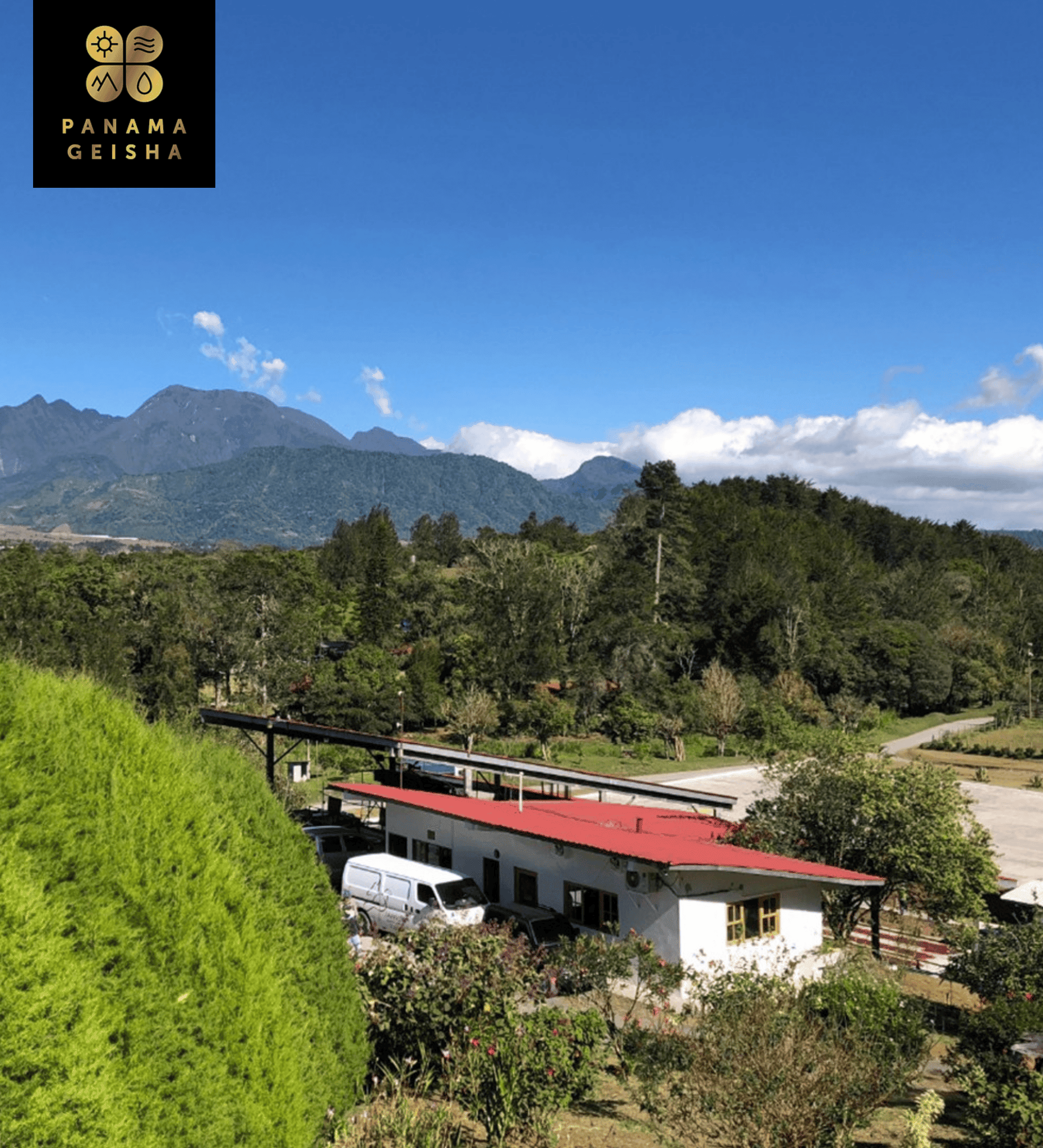 Janson Coffee Farm Lot 290 